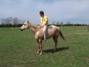christophe a cheval