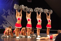 Pompoms